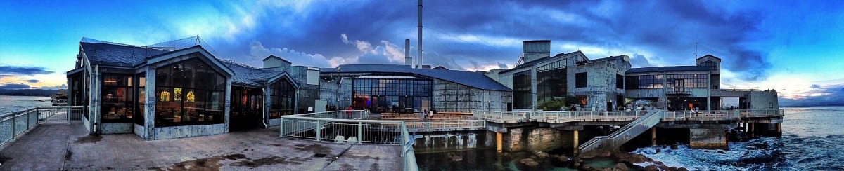 Photo: © Monterey Bay Aquarium